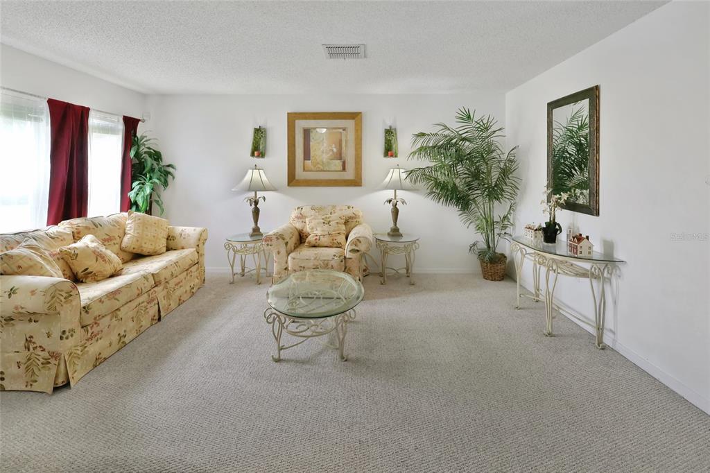 16816 Rising Star Drive Clermont, FL 34714 - Photo 4 of 21 a living room with furniture and a potted plant