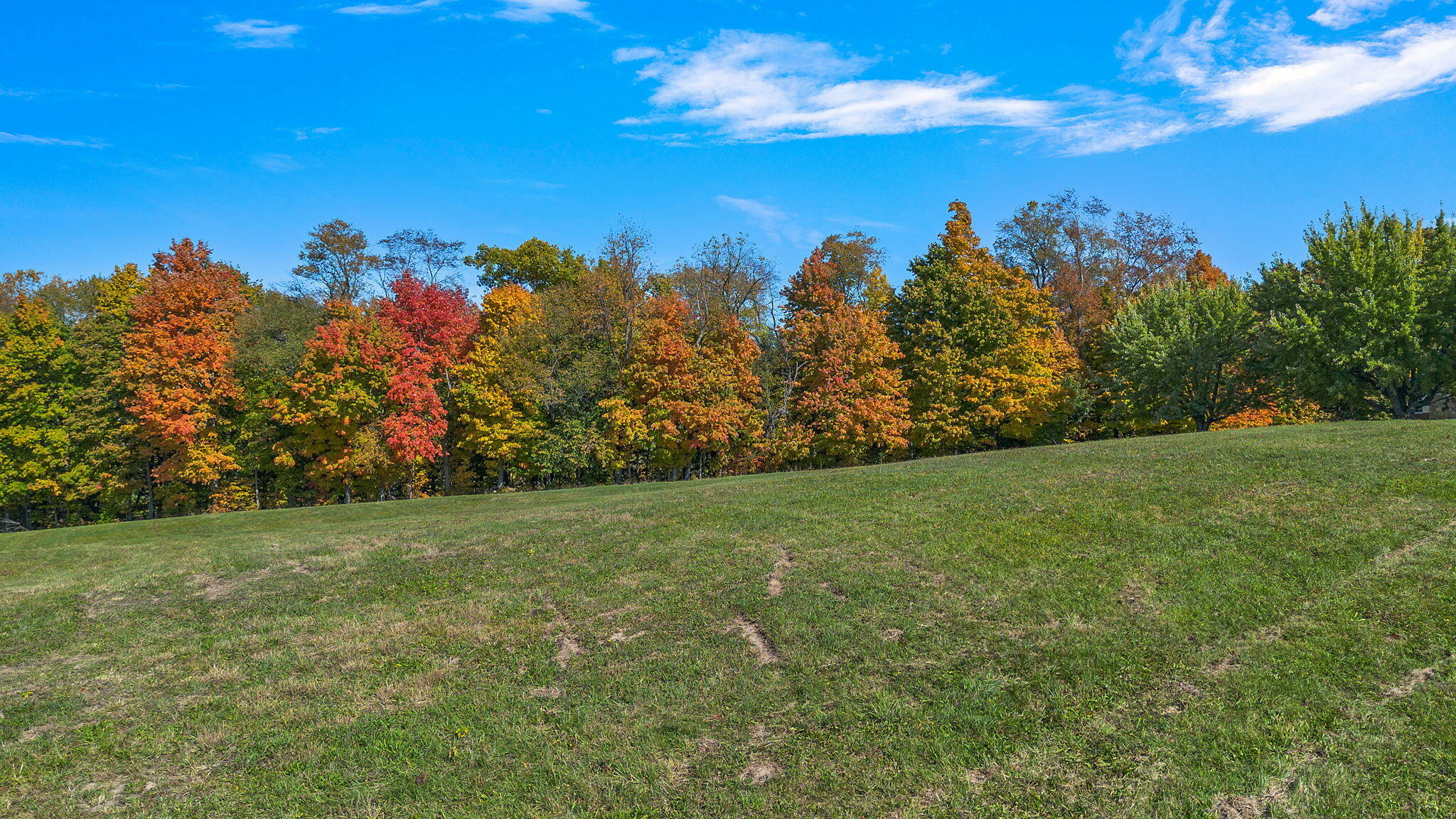 Gray Road, Unit PARCEL C Baroda, MI 49101 - Photo 6 of 7 55-web-or-mls-DJI_0747