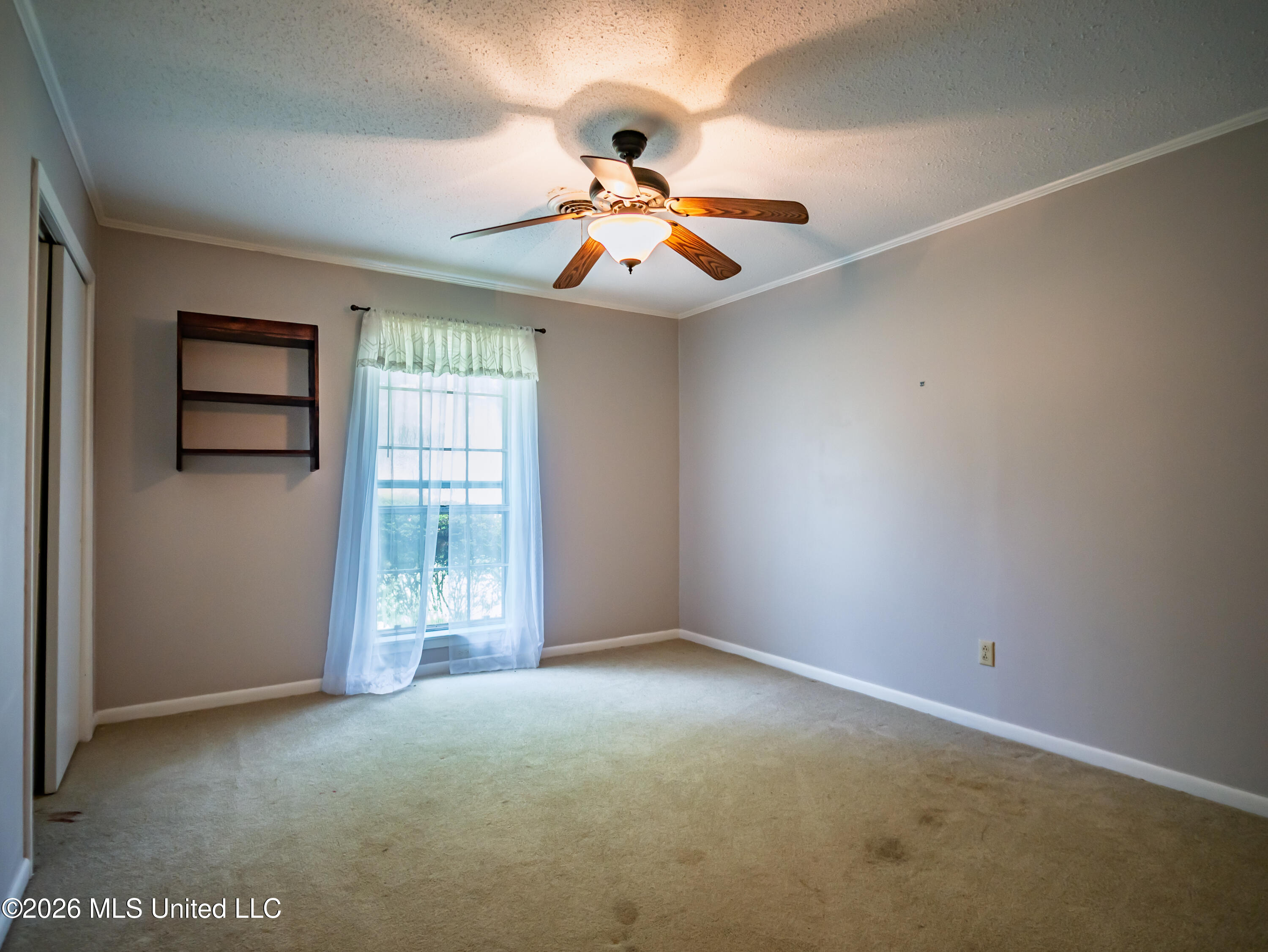 117 Hemlock Road Batesville, MS 38606 - Photo 12 of 31 117 Hemlock Rd Batesville MS_2026-06-29_