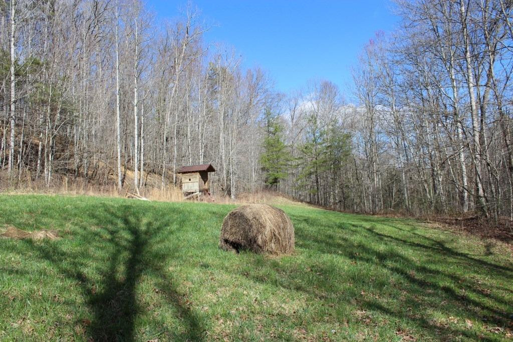 1176 War Fork Road McKee, KY 40447 - Photo 14 of 48 Photo 14