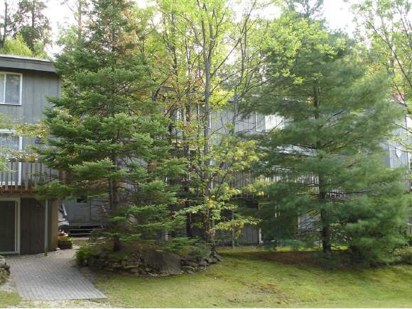 3 Stratton West Road, Unit 3 Winhall, VT 05340 - Photo 1 of 1