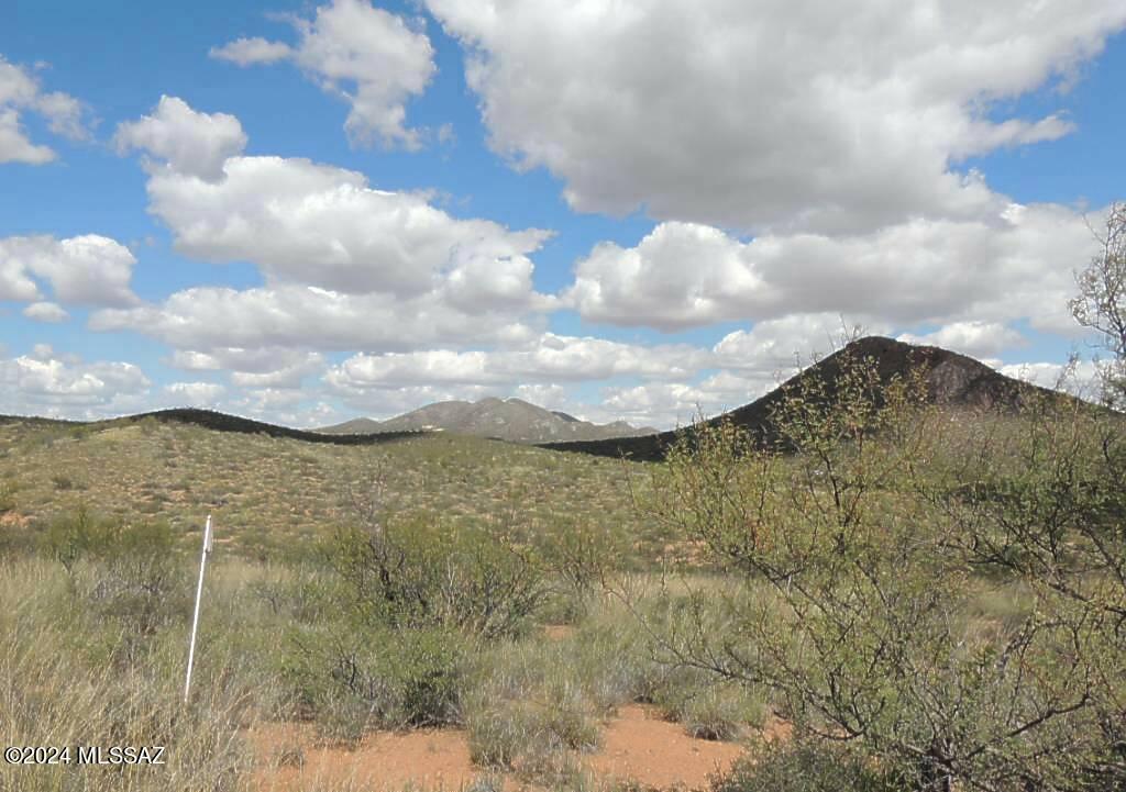 77 North Rambling Road, Unit 3/100 Elfrida, AZ 85610 - Photo 8 of 19