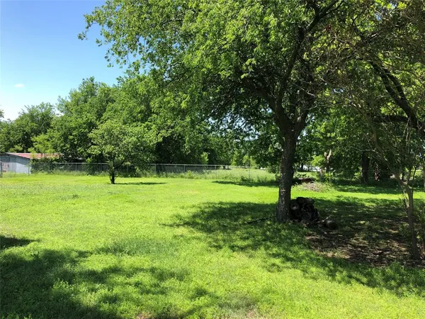 a view of a garden with trees