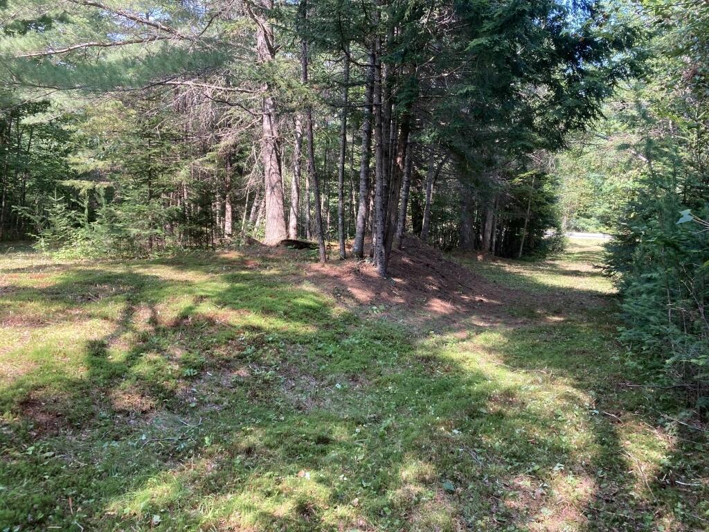 0 Long Falls Dam Road New Portland, ME 04961 - Photo 3 of 5 03-Camp or house lot