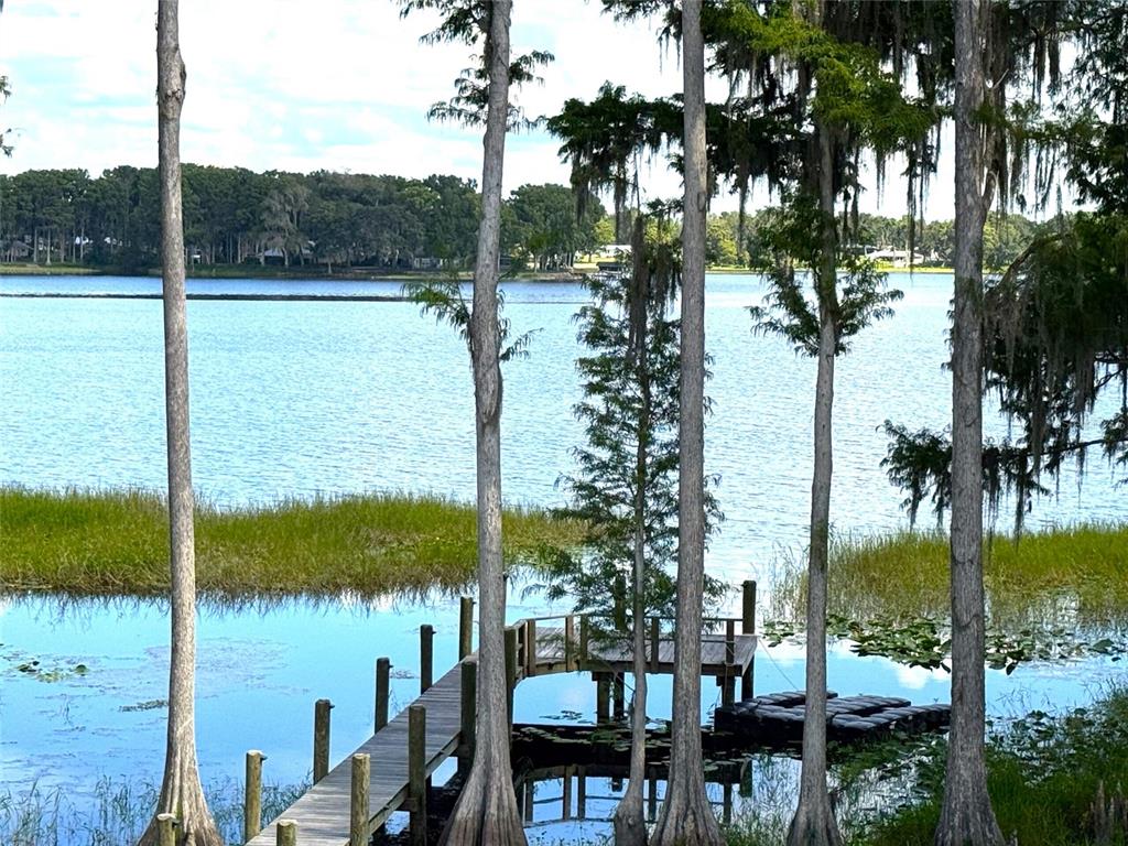 419 North Apopka Avenue Inverness, FL 34450 - Photo 34 of 80