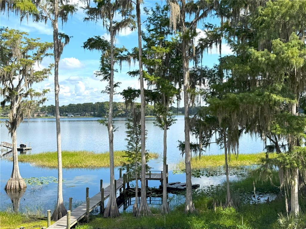 419 North Apopka Avenue Inverness, FL 34450 - Photo 64 of 80