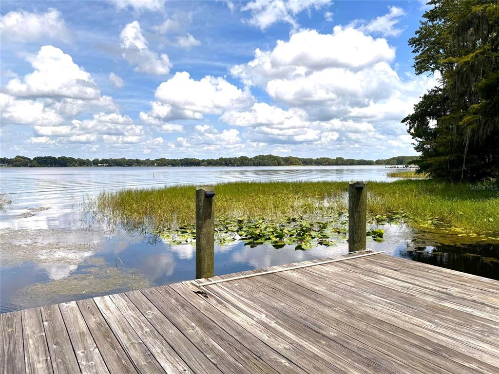 419 North Apopka Avenue Inverness, FL 34450 - Photo 72 of 80