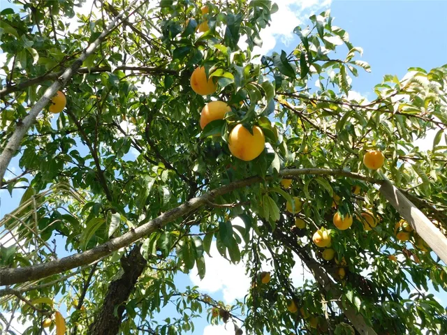 $279,900 | 7 Orchard Avenue, Owego, NY 13827