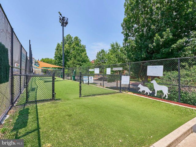 a view of a back yard