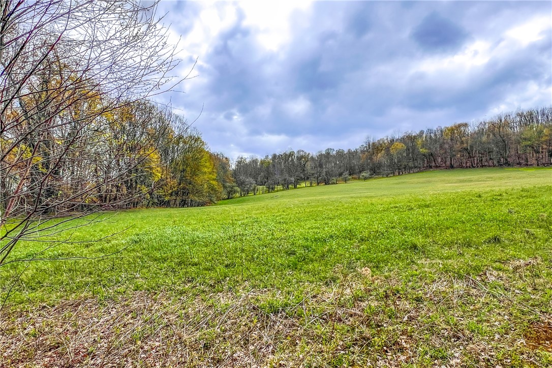 Lot 3 Brownell Road Bloomville, NY 13739 - Photo 10 of 35