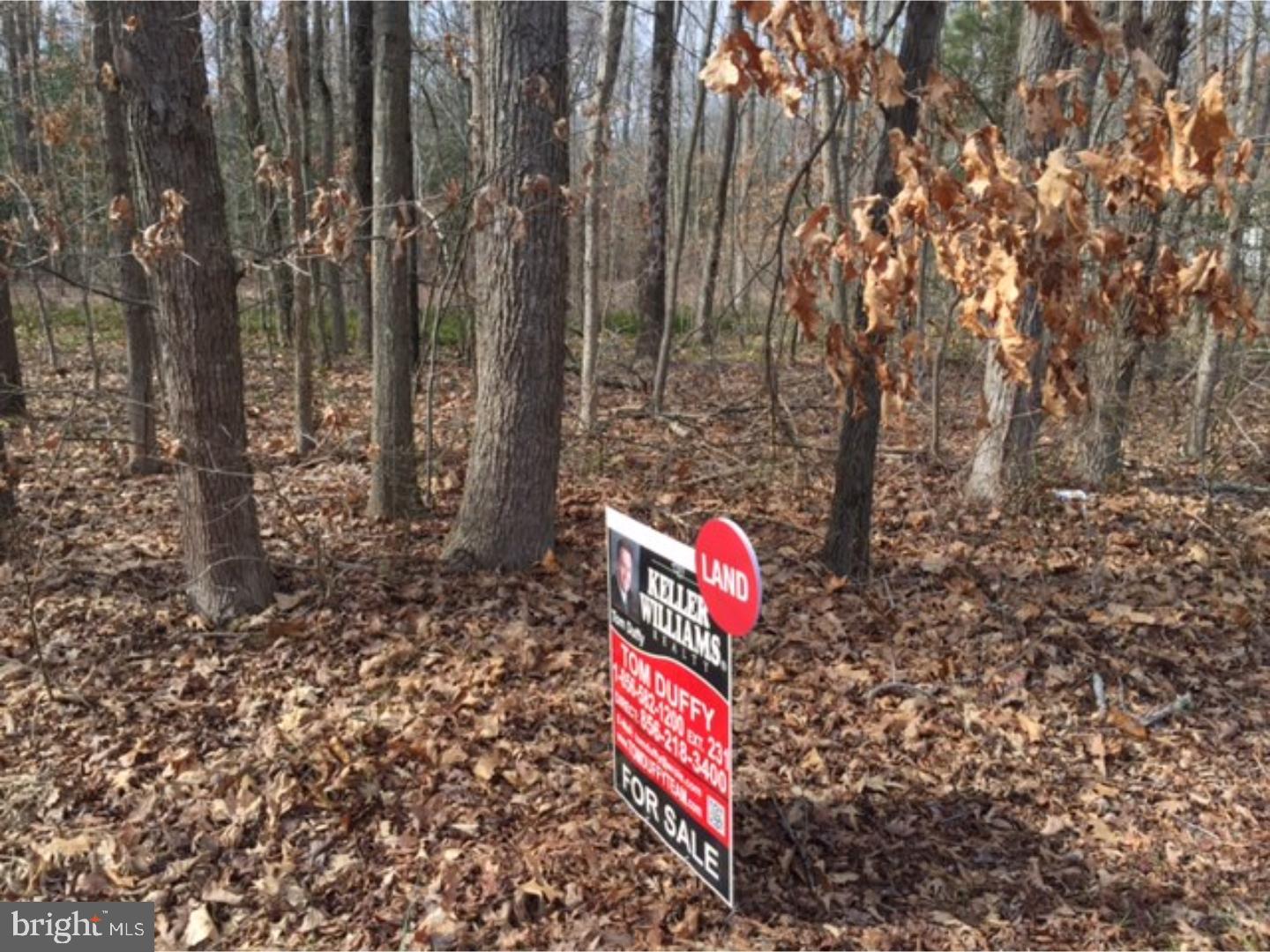 838 Whig Lane Road Monroeville, NJ 08343 - Photo 2 of 7