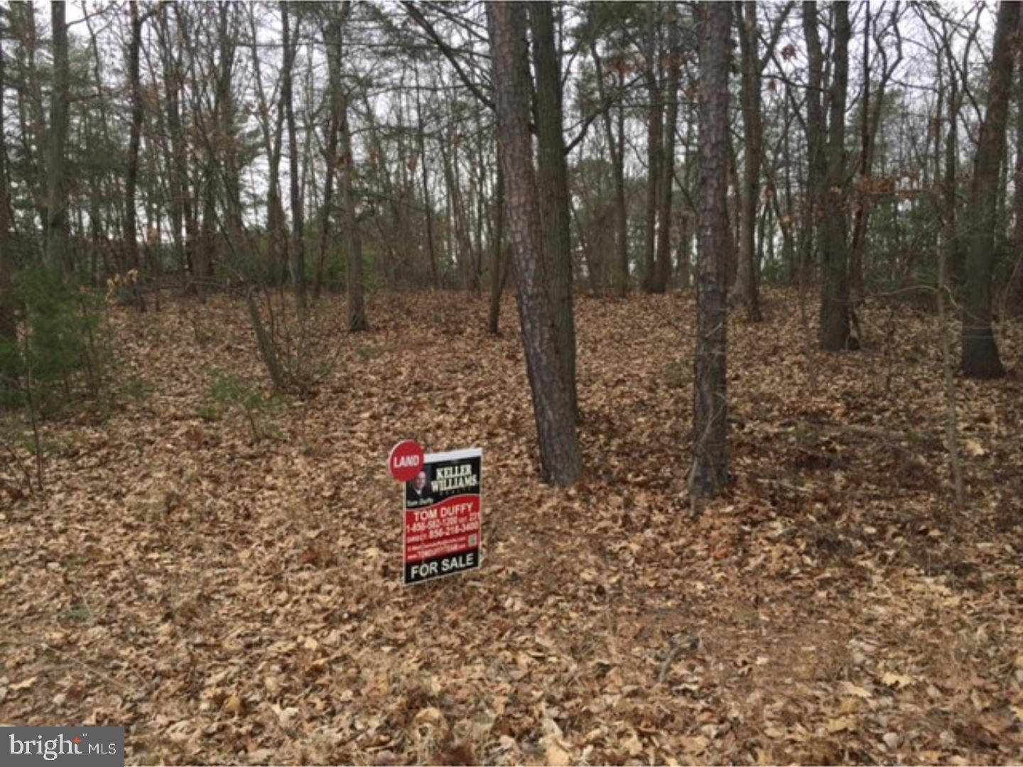 838 Whig Lane Road Monroeville, NJ 08343 - Photo 3 of 7