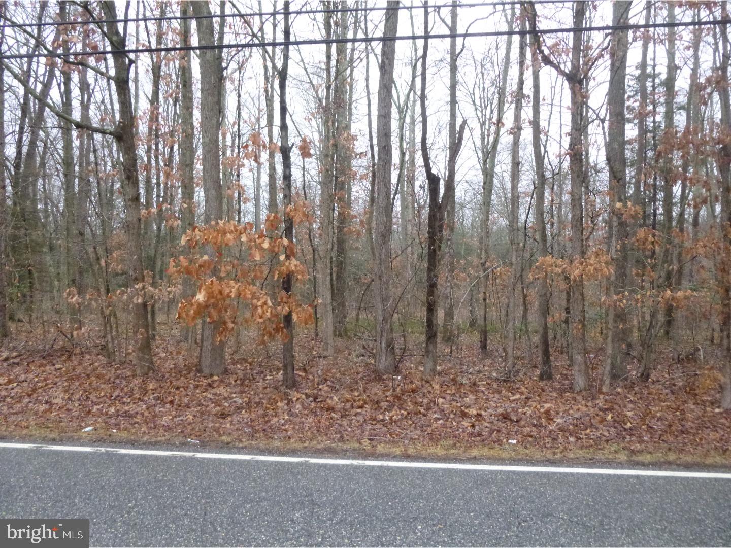 838 Whig Lane Road Monroeville, NJ 08343 - Photo 6 of 7