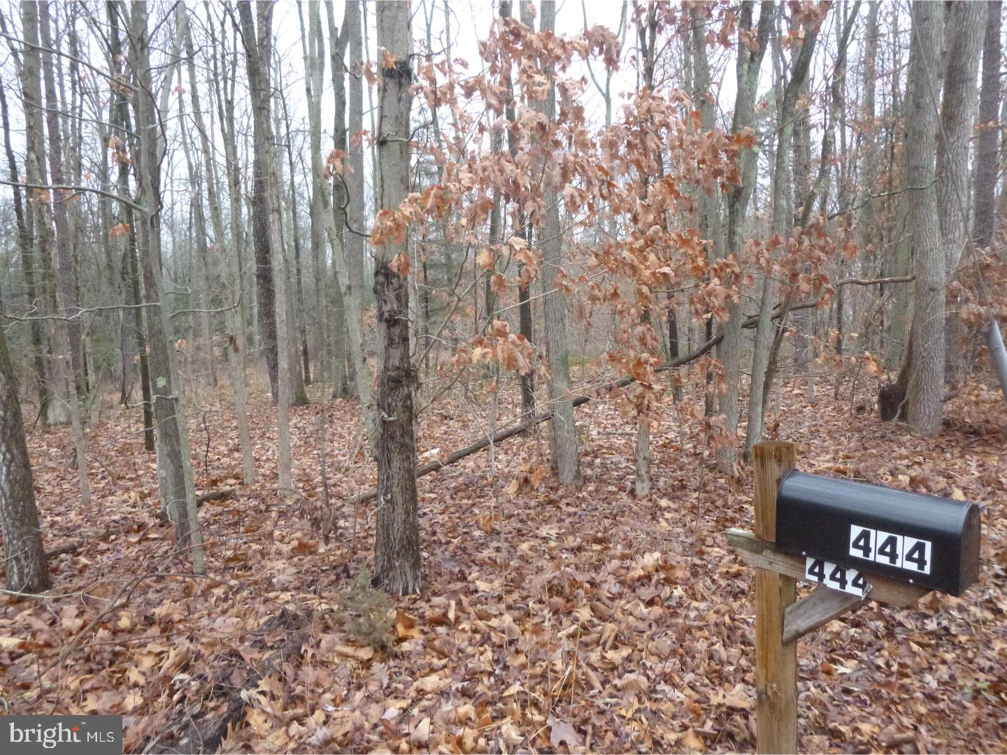 838 Whig Lane Road Monroeville, NJ 08343 - Photo 7 of 7