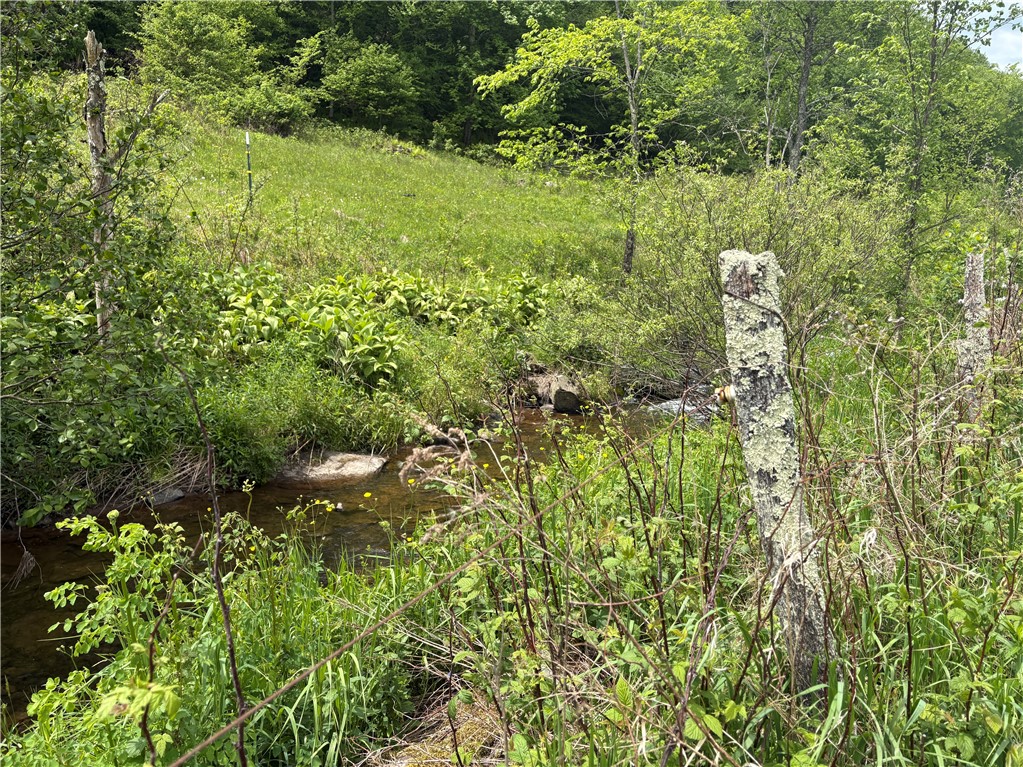 2027 West Platner Brook Road Delhi, NY 13753 - Photo 36 of 36