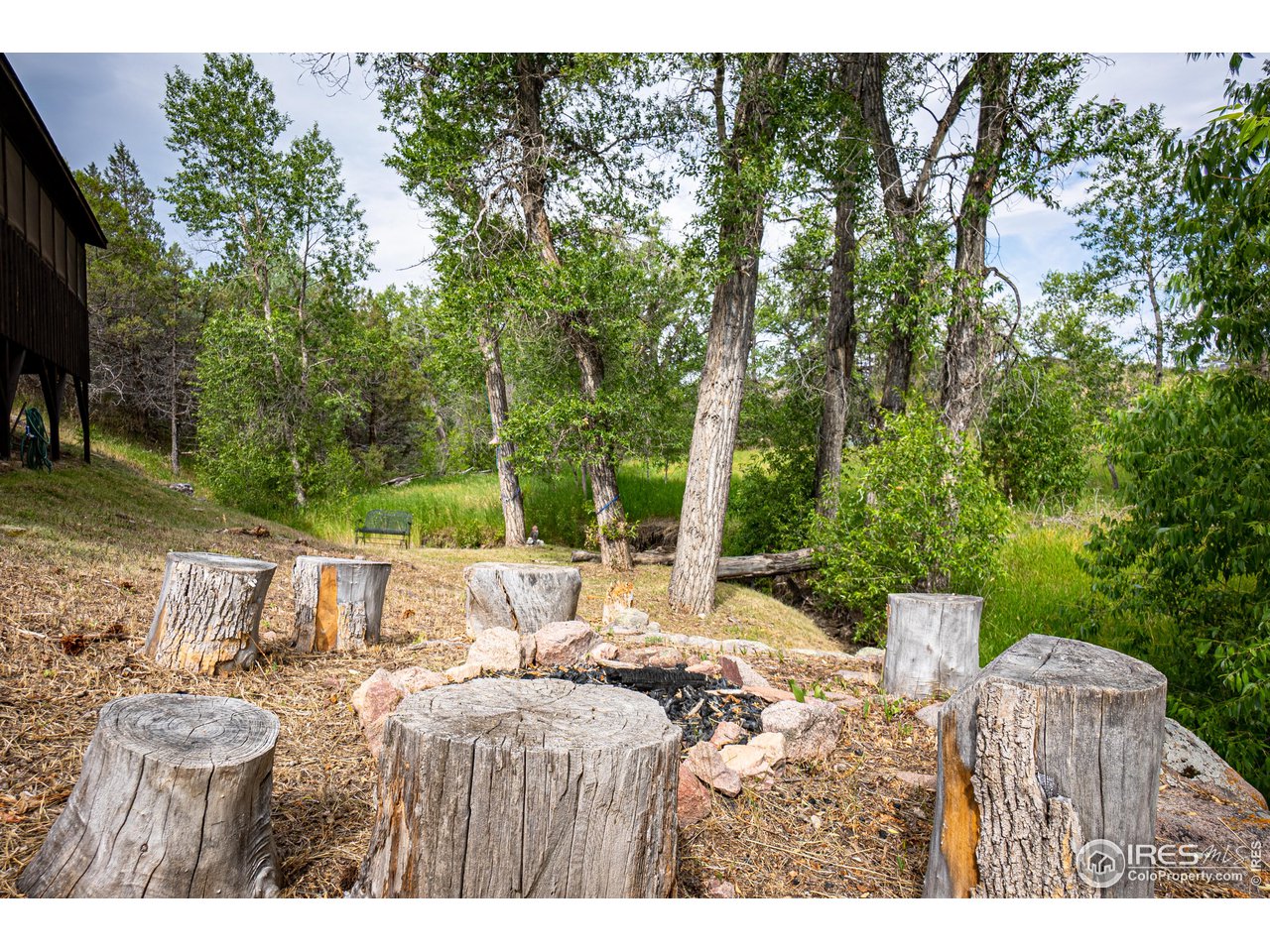 950 Meadow Creek Road Livermore, CO 80536 - Photo 17 of 26