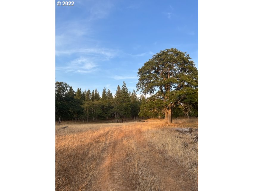 514 Schilling Road, Unit 1 Lyle, WA 98635 - Photo 14 of 28 Gallery Image 14