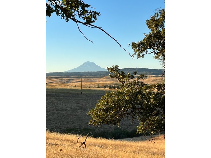 514 Schilling Road, Unit 1 Lyle, WA 98635 - Photo 20 of 28 Gallery Image 20