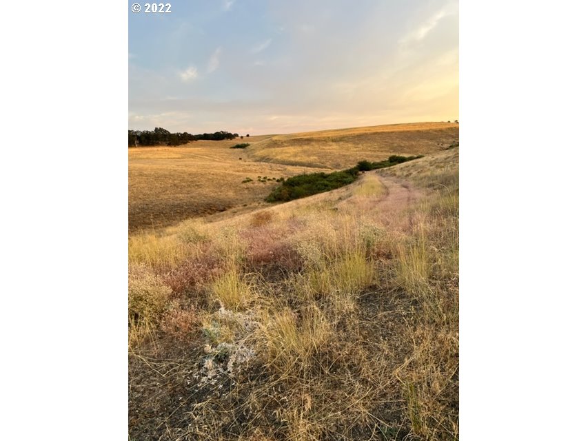 514 Schilling Road, Unit 1 Lyle, WA 98635 - Photo 21 of 28 Gallery Image 21