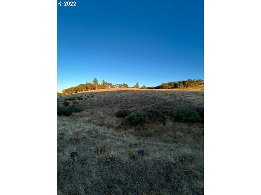 514 Schilling Road, Unit 1 Lyle, WA 98635 - Photo 24 of 28 Gallery Image 24