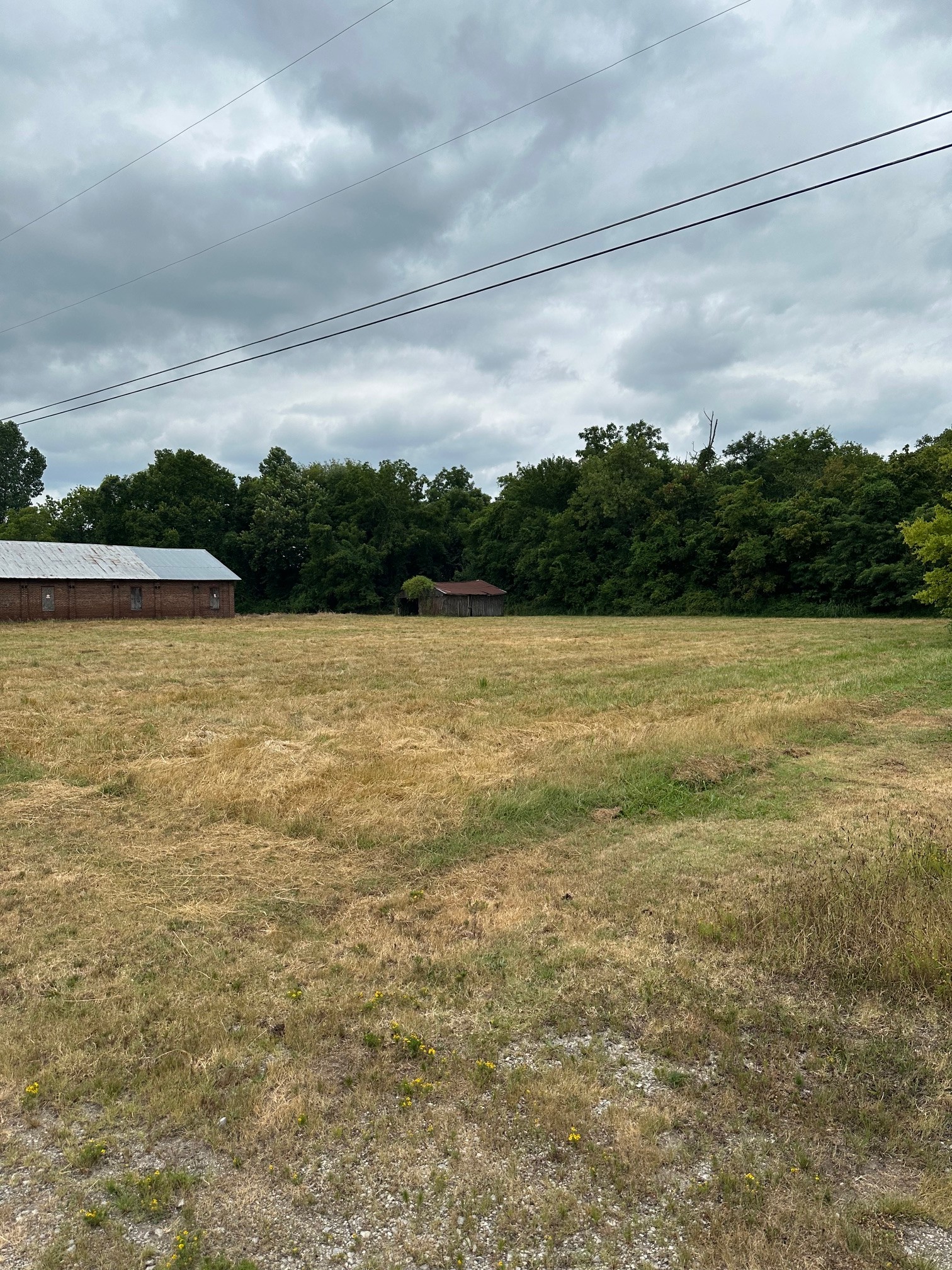 0 Railroad Street Mount Pleasant, TN 38474 - Photo 6 of 8 a view of a lake view