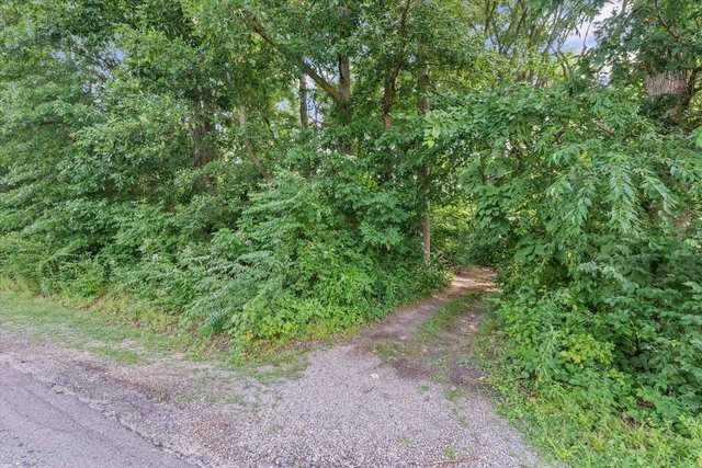 958 North 3555 East Road Neoga, IL 62447 - Photo 31 of 39 a view of a yard with a tree