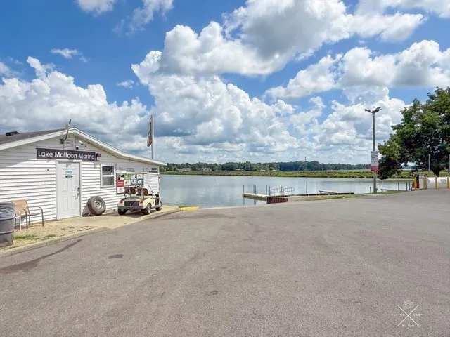 a view of a park with large trees