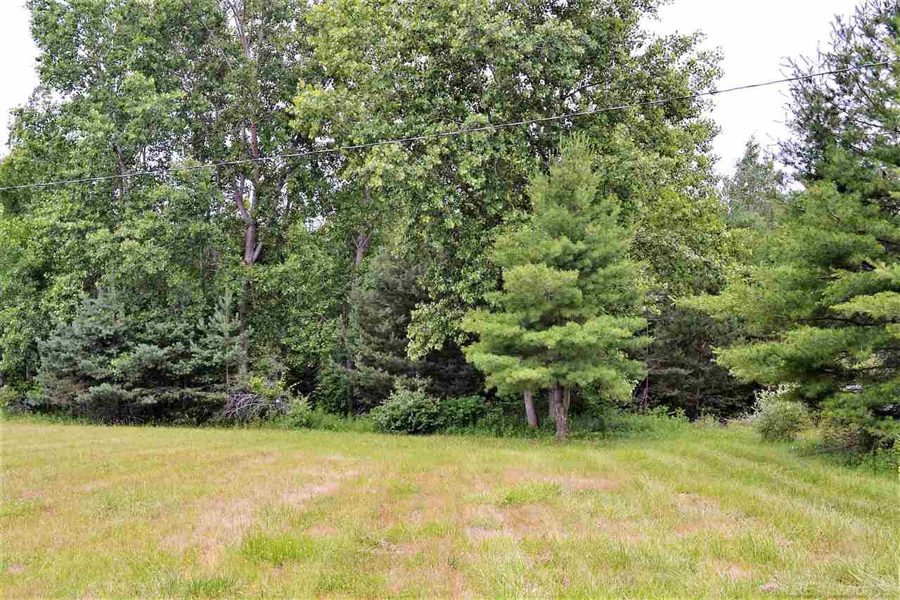5740 Patz Road Palms, MI 48465 - Photo 8 of 10