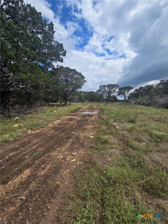 4950 County Road 110 Burnet, TX 78611 - Photo 20 of 29