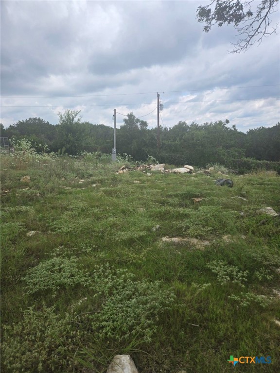 4950 County Road 110 Burnet, TX 78611 - Photo 24 of 29