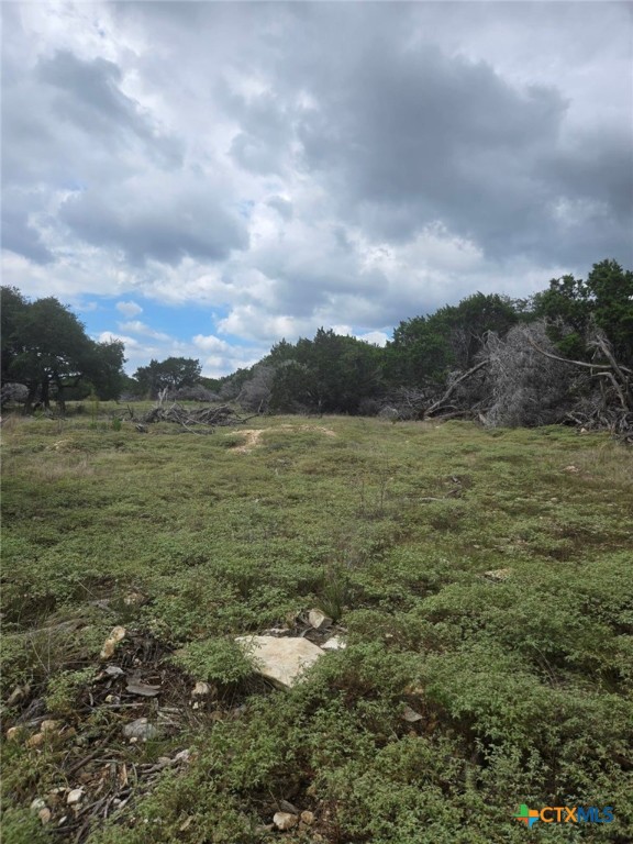 4950 County Road 110 Burnet, TX 78611 - Photo 25 of 29