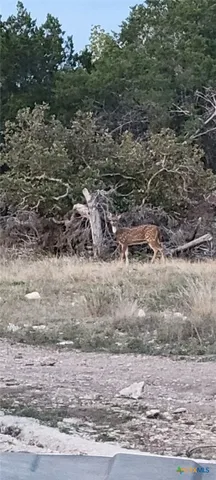 $775,000 | 4950 County Road 110, Burnet, TX 78611