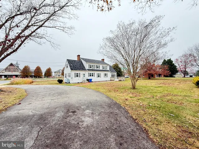 a street view with large trees