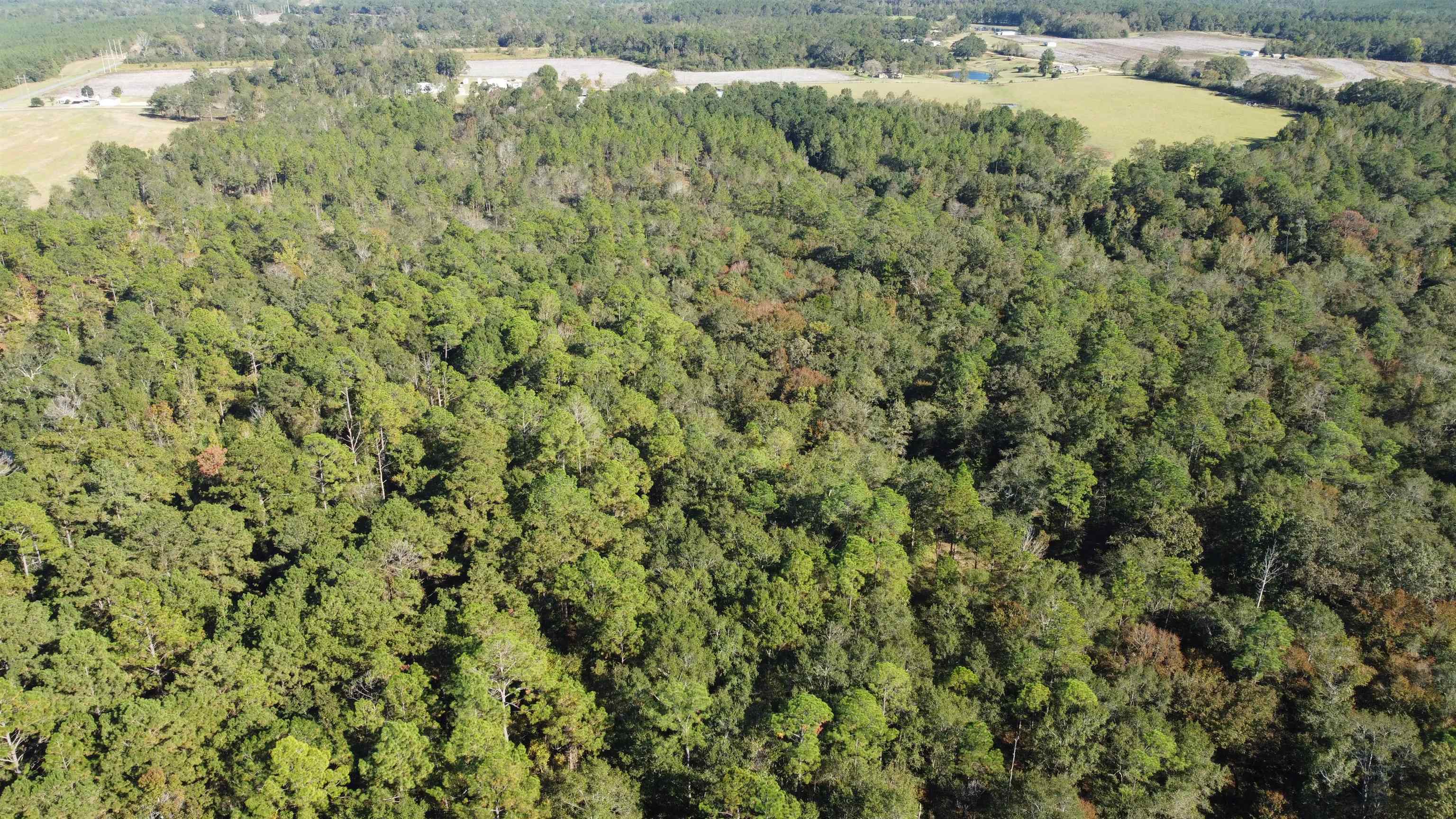 0 Cowpen Creek Road Atmore, AL 36502 - Photo 19 of 21