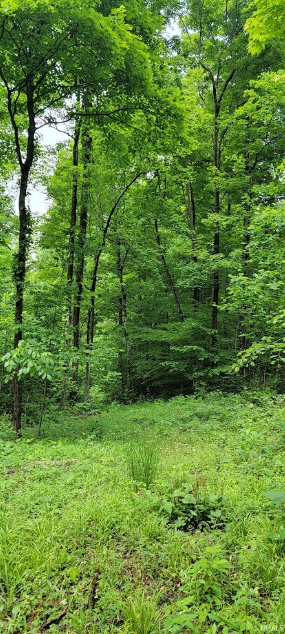 1771 North Peacock Hollow Road Salem, IN 47167 - Photo 27 of 36