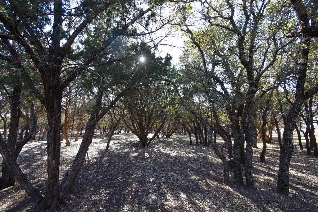 1358 Farm To Market Road 2315 Rochelle, TX 76872 - Photo 25 of 40