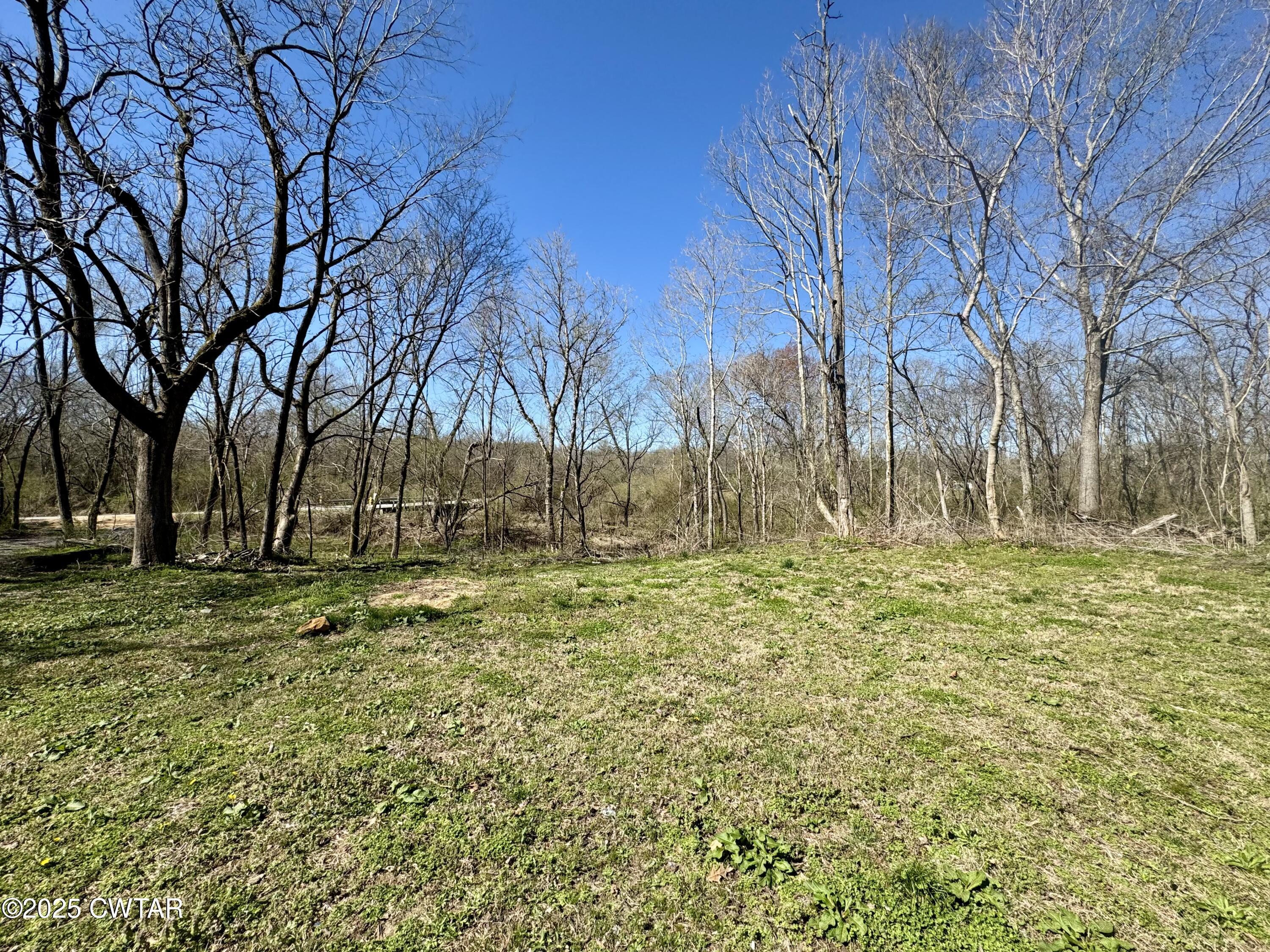 180 State Rte 22a South Jacks Creek, TN 38347 - Photo 17 of 20 IMG_6477