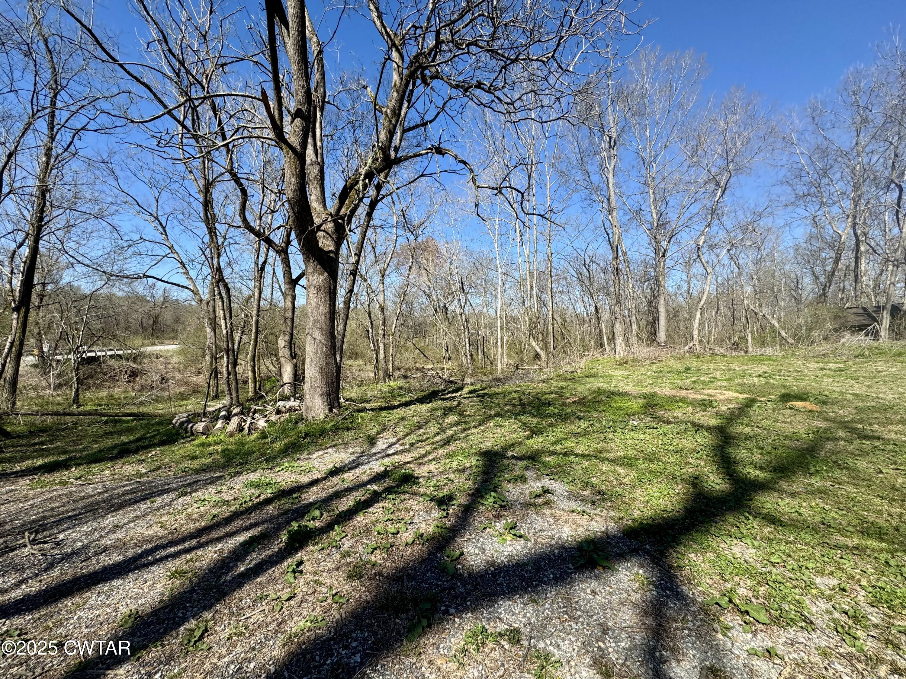 180 State Rte 22a South Jacks Creek, TN 38347 - Photo 18 of 20 IMG_6478