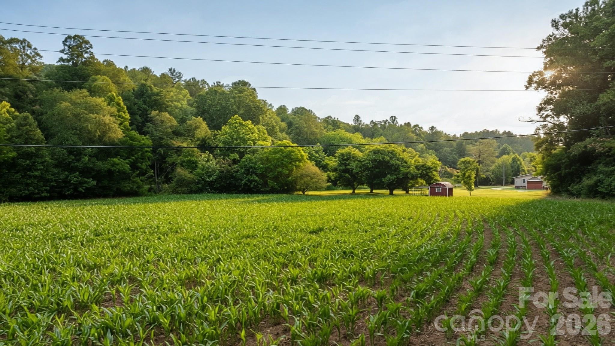 2970 Zacks Fork Road Lenoir, NC 28645 - Photo 3 of 10