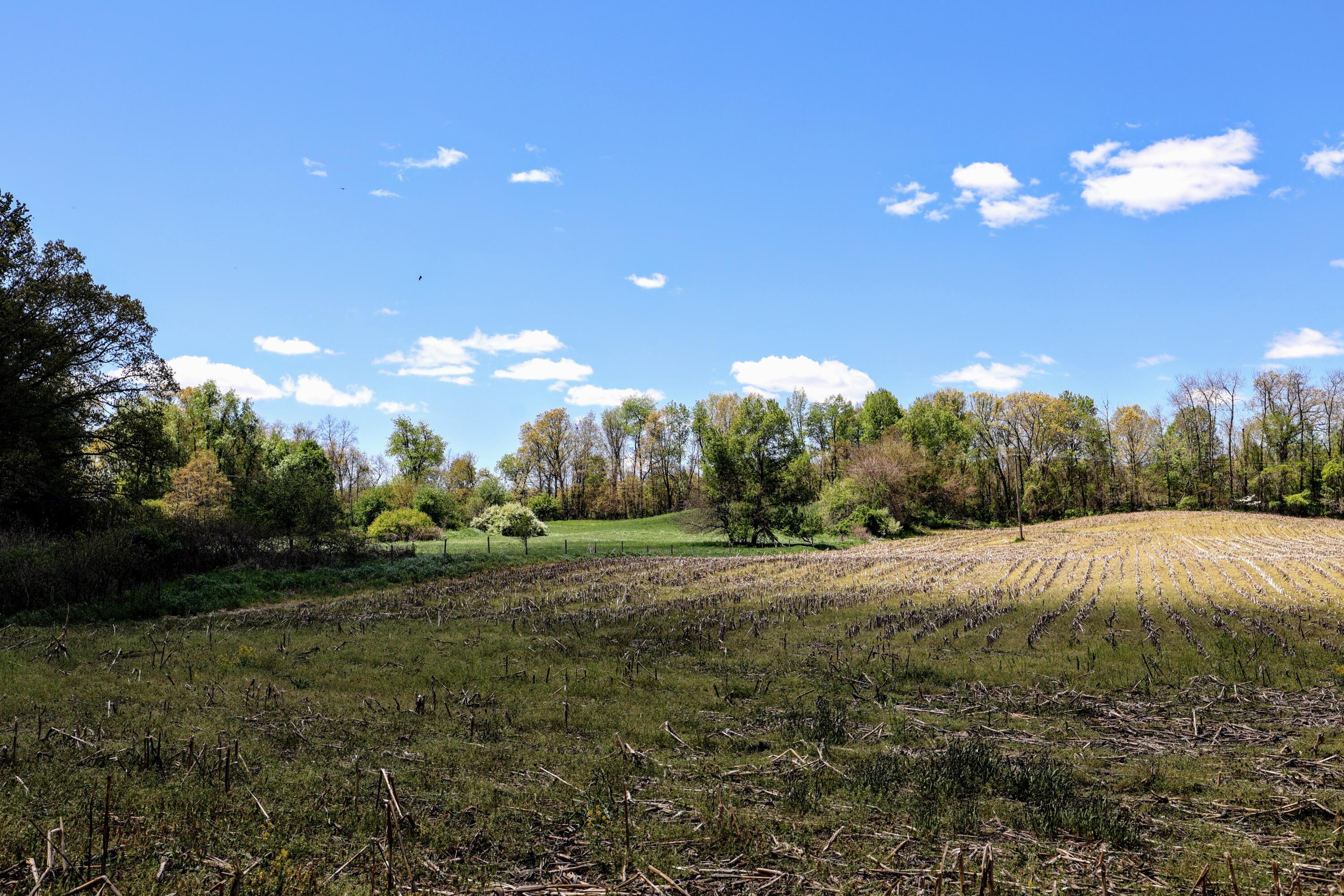 8 1/2 8 1/2 Mile Road Burlington, MI 49029 - Photo 8 of 55 8