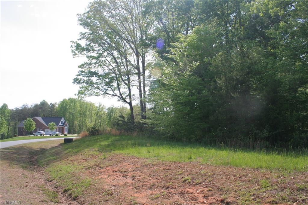 2 Nauvoo Ridge Drive Tobaccoville, NC 27050 - Photo 3 of 4