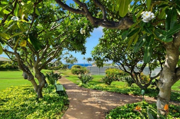 2373 Ho'ohu Road, Unit E111 Koloa, HI 96756 - Photo 13 of 16