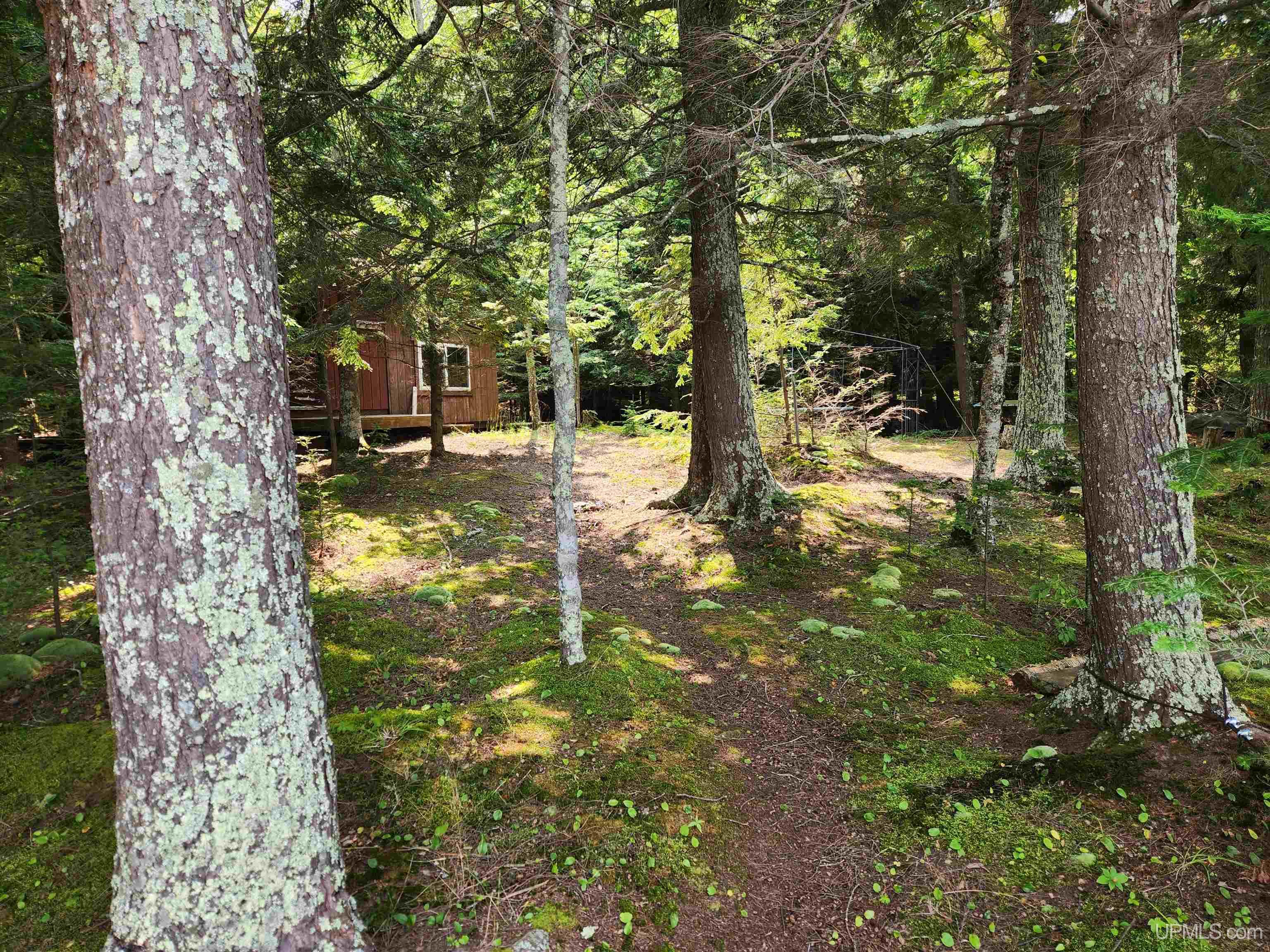 47739 Lots Road Toivola, MI 49965 - Photo 57 of 65 Gallery Image 57