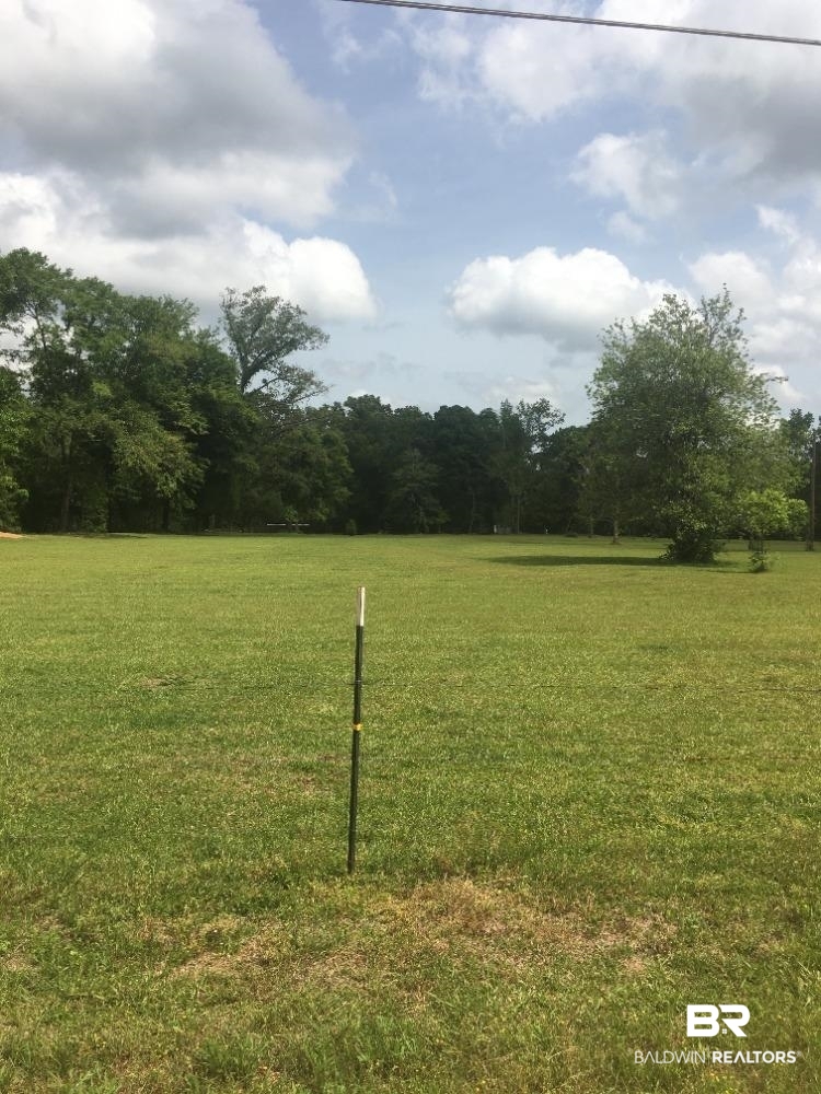 0 Horseshoe Road Brewton, AL 36426 - Photo 1 of 1