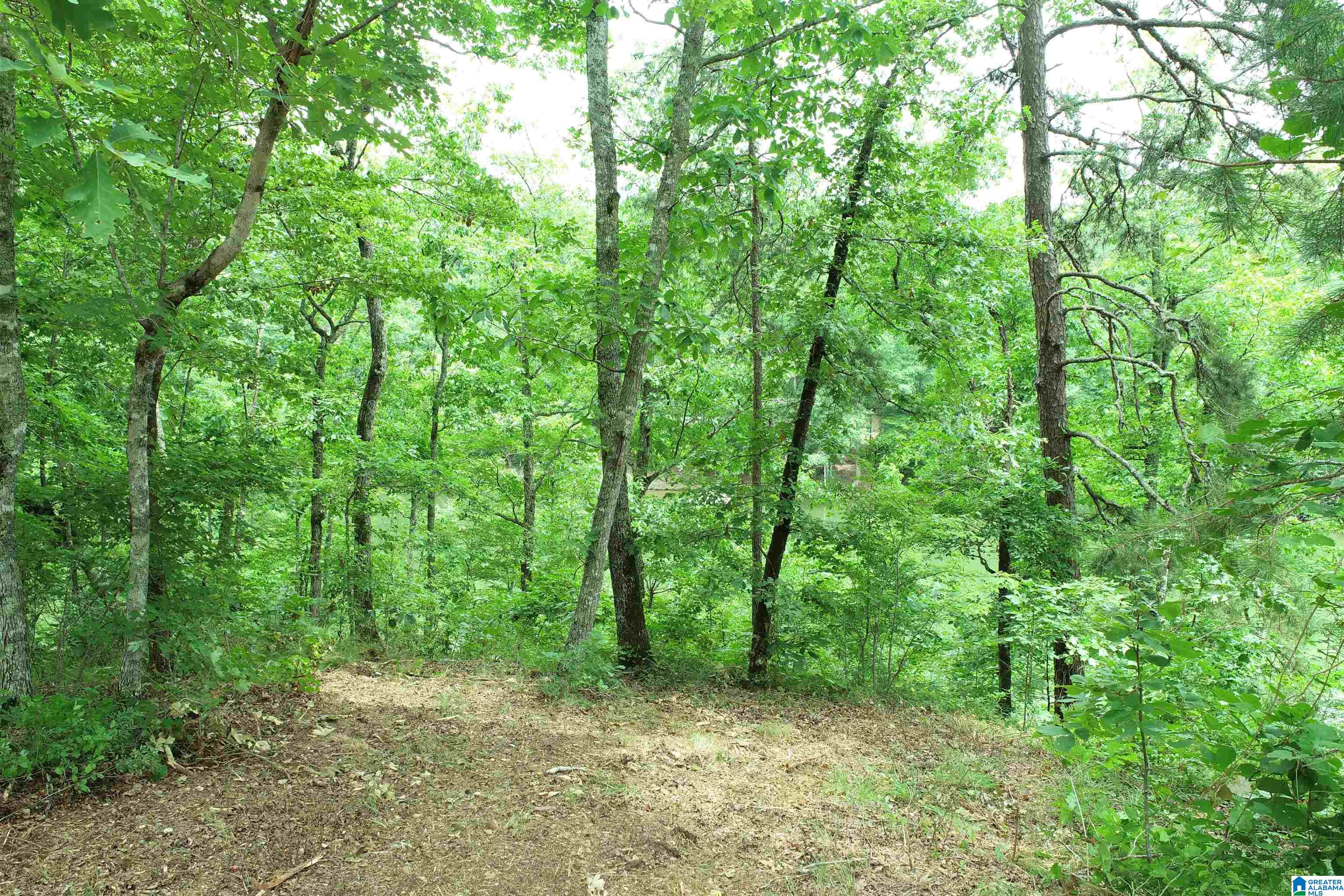 0 County Road 803, Unit 33 Wedowee, AL 36278 - Photo 12 of 14