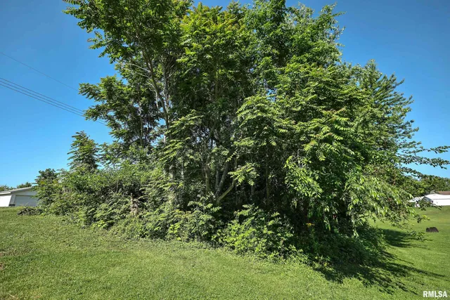 $27,000 | 8739 East Turner Highway, Astoria, IL 61501