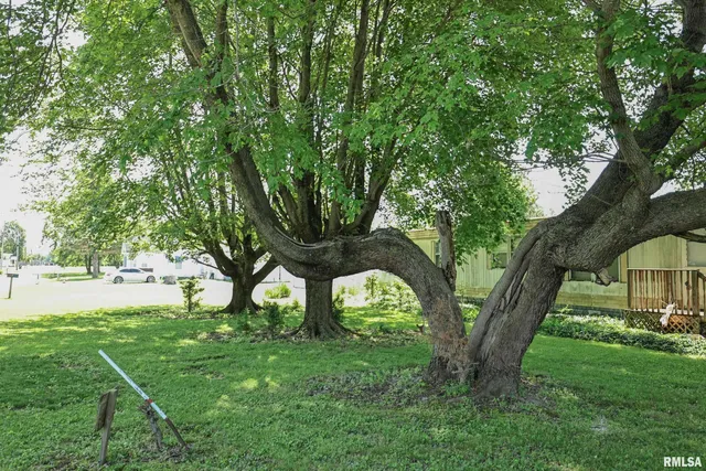 $27,000 | 8739 East Turner Highway, Astoria, IL 61501