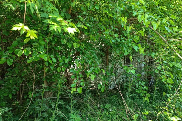 $17,000 | 8739 East Turner Highway, Astoria, IL 61501