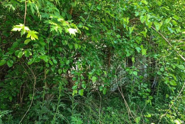 $27,000 | 8739 East Turner Highway, Astoria, IL 61501