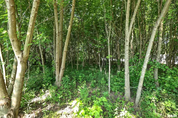 $17,000 | 8739 East Turner Highway, Astoria, IL 61501